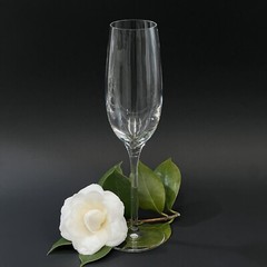 Tiffany & Co. Crystal Champagne Flute Classic U-Shape Signed 9 5/8″ EUC