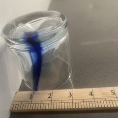 2 Libbey Blue Ribbon “Rocks Glass” With Dimpled Sides