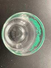 Vintage Green Ivy Juice Glass