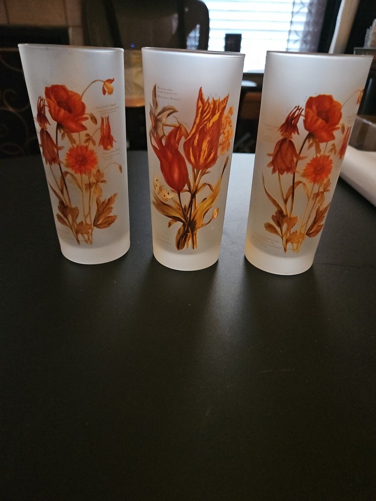 Vintage MCM Botanical Flower Frosted Glass 12 oz Set of 3