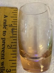 Glass Cordials 2.5” Etched Wheat Pattern Green & Peach (2)