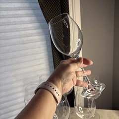Elegant Set Of RONA Crystal Bordeaux Wine Glasses 9-1/4″ Tall Slovakia(7)