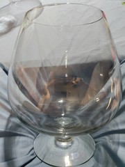 Vintage Clear Glass Pedestal Brandy Snifter 10 Inches Tall Unmarked