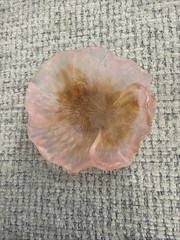 Empty Pocket Bowl Flower Crystal Daum France MOD4 Pink, And Amber