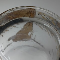 Set of 3 Clear Glass Rocks Glasses Geese Mallard Duck Birds Hunting