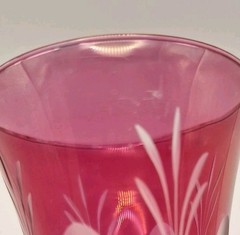 Bohemian Czech Cordial Glasses Set Of 6