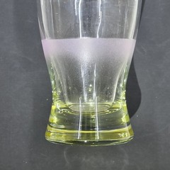 Libbey Dogwood Floral 16oz Drinking Glass Pink Frost Avocado Color Base Retro