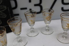 Cordial Glass Golden Foliage Glass Libbey Glass Company Set-6 w/box Vintage #1