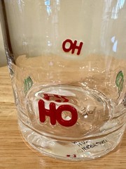 World Market Anthropologie “Dupe” Festival Icon Glass Tumbler (Ho Ho Ho)