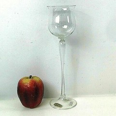 Murano Venetian Salviati Crystal Pauly & C Goblet Tall Clear