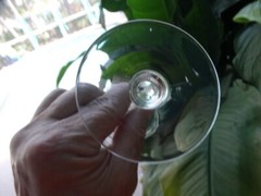 Unknown Maker UNK1414 Clear Panel Optic Glass Etched Thistle Water Goblet VGUC