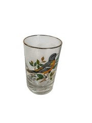 West Virginia Glass American Songbirds Painted Pitcher + 5 glasses Gold Trim
