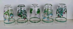 PORTMEIRION Botanic Garden, 5 High Ball Glasses/Tumblers 19.5oz, Green Laurel