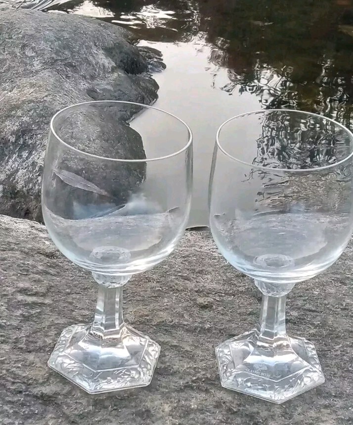 Set Of 2 «Maria» by Rosenthal Group Germany «Cassic Rose» Goblets