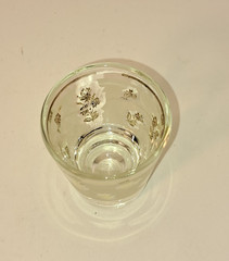 6 Vintage Libbey Frosted Golden Rose Shot Glasses