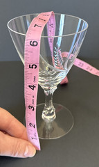 Fostoria Wheat Spray Crystal Water Goblets Set of 2 Elegant Stemware
