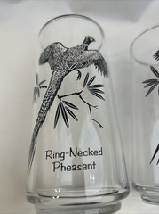2 VTG MCM «SPORTSMAN» Federal Glass Game Birds 12oz Tumblers: Ring Neck Pheasant