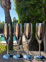 Elegant Champagne Flutes Silver Mirrored Coated Glass Wedding Toasting Set of 4
