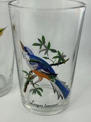 Vintage Bird Glasses Set of 4 Scientific Name Tumblers 4 Inch Wildlife Print