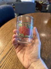 Libbey Harvest Fruit Beverage Glass Tumblers Grape Apple Glasses
