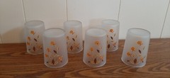 Hall / Libbey Autumn Leaf Frosted Flat 8 oz. Tumbler