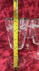 Cristal D Arques Etched Laurel Leaf Water Goblets with Platinum Rim Set Of 7