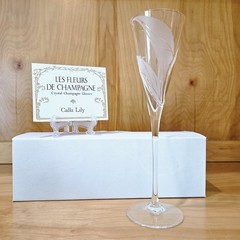 Franklin Mint Les Fleurs de Champagne Crystal Glass Set 12 w/ Cards COA Complete