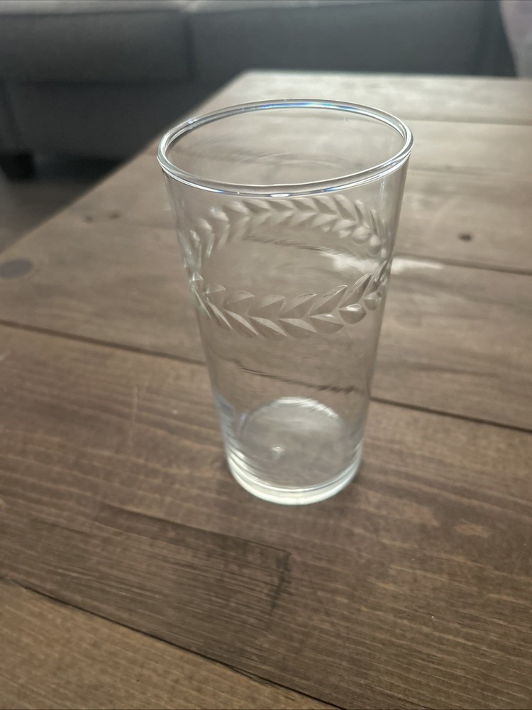 Vintage Etched Leaf Band Tumbler Juice Water Glass Clear Replacement