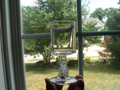 Pavonia Wine Glass clear by Ripley Company circa1885 EAPG