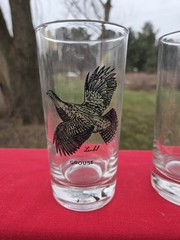 SET of 6 Vintage LANBIL Waterfowl Game Bird Drinking Highball Glasses 5 1/2 in