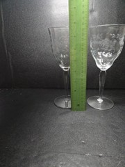 Weston Style Optic Crystal Water Goblets, Set Of 2, Floral Wine Glasses, Elegant