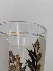Vtg MCM Libbey Gold Foliage Frosted Cooler Glasses 10 oz Set of 6