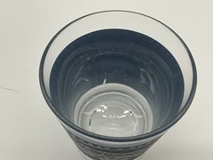 Royal China Currier & Ives Blue and White Old Fashion Glasses w/Horse Carriage