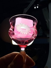 Set 9 Vintage Bohemian Cranberry Crystal Wheel Cut Floral Wine Port Glasses
