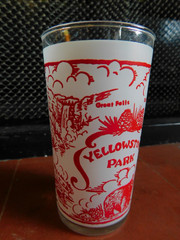 Vintage Federal Glass Frosted Souvenir Glass Tumbler Yellowstone Park-4.75”