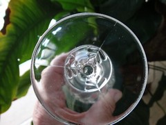 EAPG Adams & Co. Plume 10.5oz Water Goblet Very Good Used Condition