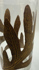 M Petti Glasses Set 4 Oak Leaf & Acorn Set 4 Tumbler High Ball Rare Signed MCM