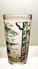 Vintage Federal Frosted Souvenir Tumbler FLORIDA THE SUNSHINE STATE 5″