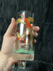 Vintage Pheasant Bird Hunting Hi Ball Bar Glasses Barware 6 MCM