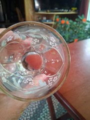 Victorian Art Glass Tumbler Clear Hand Painted Enamel Decor Gilded Rim (2890)