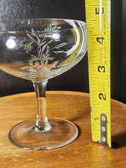 Wildflowers Cut Crystal CHAMPAGNE/TALL SHERBERT By Fine Arts Glass Co. FLAWLESS!