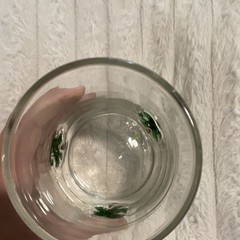 Clear Glass Rocks Glass Decorated Tropical Palm Tree Design Green 8 oz