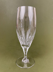 Mikasa Petit Points Pattern Plant Leaves Cut Crystal Iced Tea Glass 8 1/2»