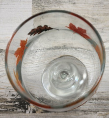 Libbey Crisa Glass Autumn Fall Leaves Design Drinking and Stemware Glass 1 Each