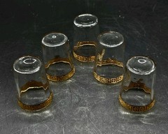 10pc MCM Stetson Gold Encrusted Floral Band 6 Highball 4 Cordial Glass Set