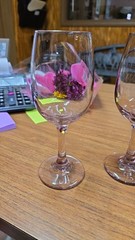 RETIRED Wine/Water Goblet Premiere PLUM LIBBEY GLASS COMPANY
