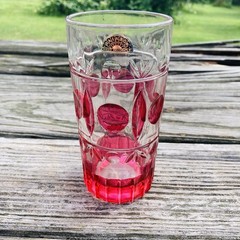 Vintage Rainbow Glass Co. Classique Cranb Flash Iced Tea Tumbler Hand Decorated