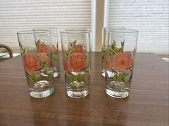 Franciscan Desert Rose 16 oz Tumbler Glases 6 1/4” *set of 6*