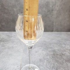 Crystal Etched Wine Glass Handcrafted in Romania