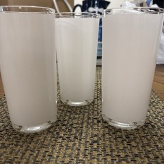 Libbey Tim Collin’s Dominion High Ball Painted Glasses Set of 6 12 Oz